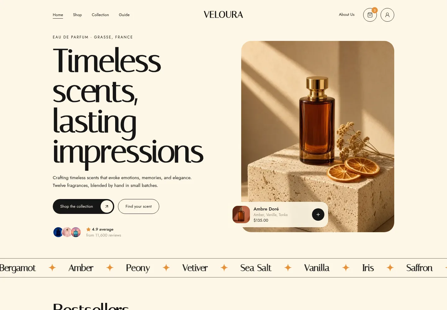 Veloura concept website homepage