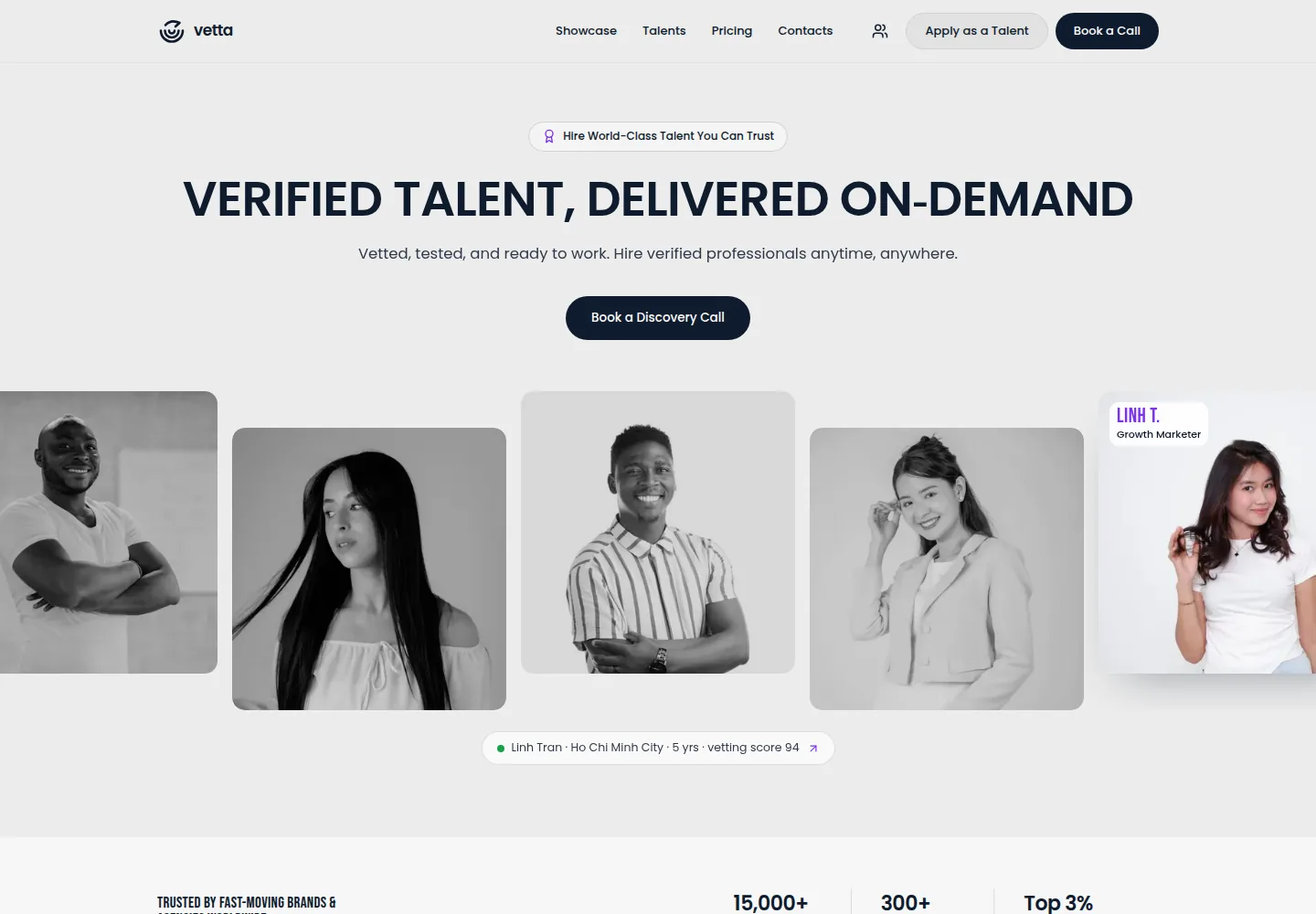 Vetta concept website homepage